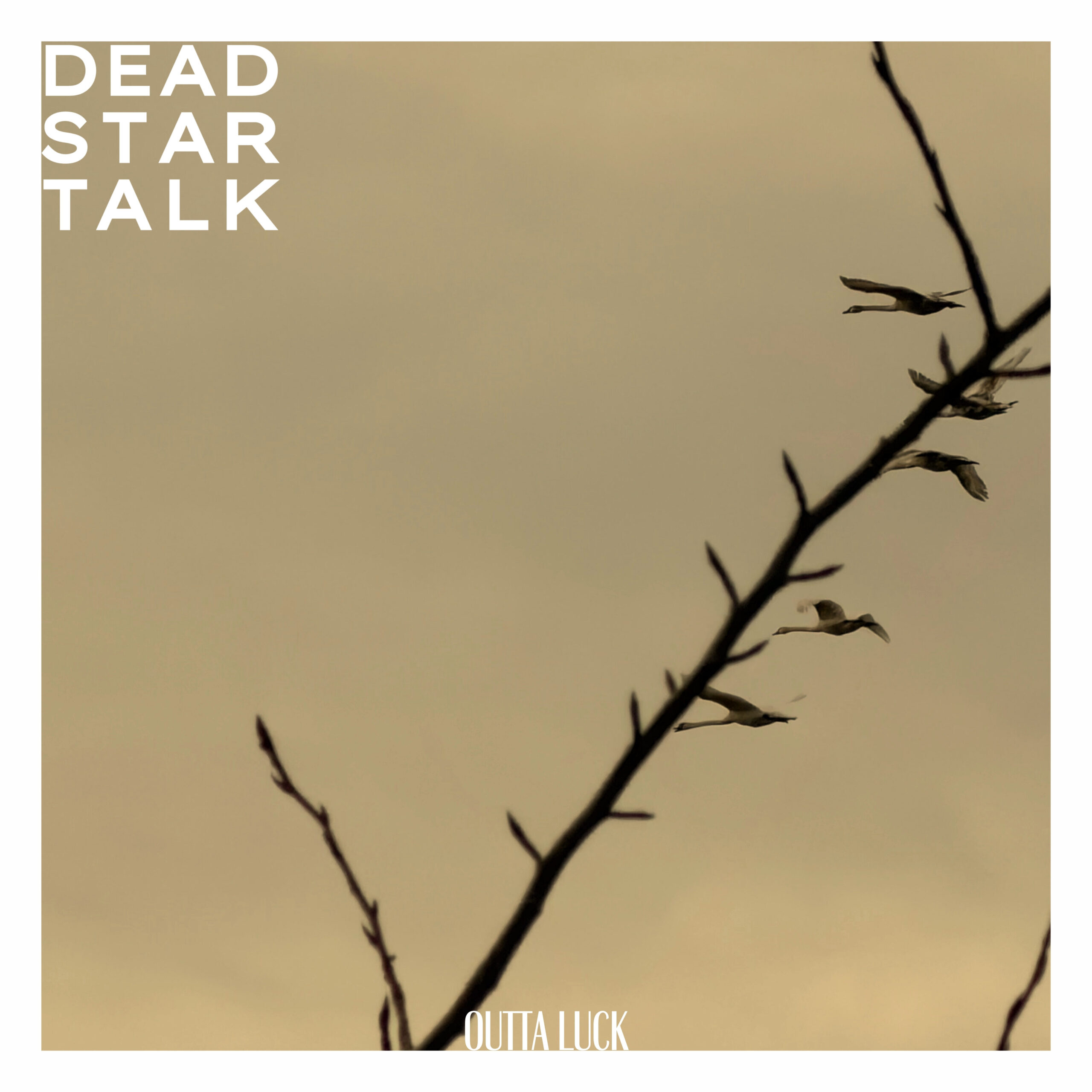 DEAD STAR TALK 